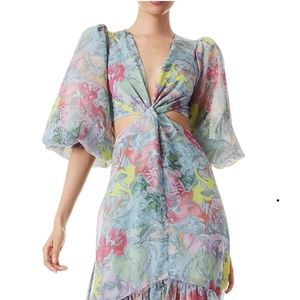 Alice + Olivia Lola’s Dream  dress